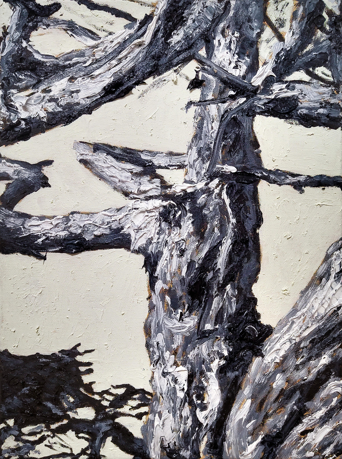 Body of a Tree